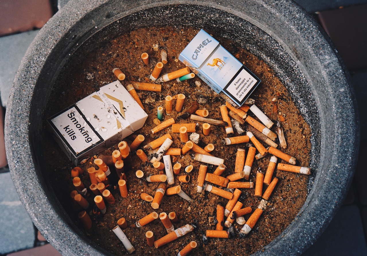Smoking, ashtray, cigarettes — Understanding Pain: Dr. Lauren Papa’s Insights and Strategies